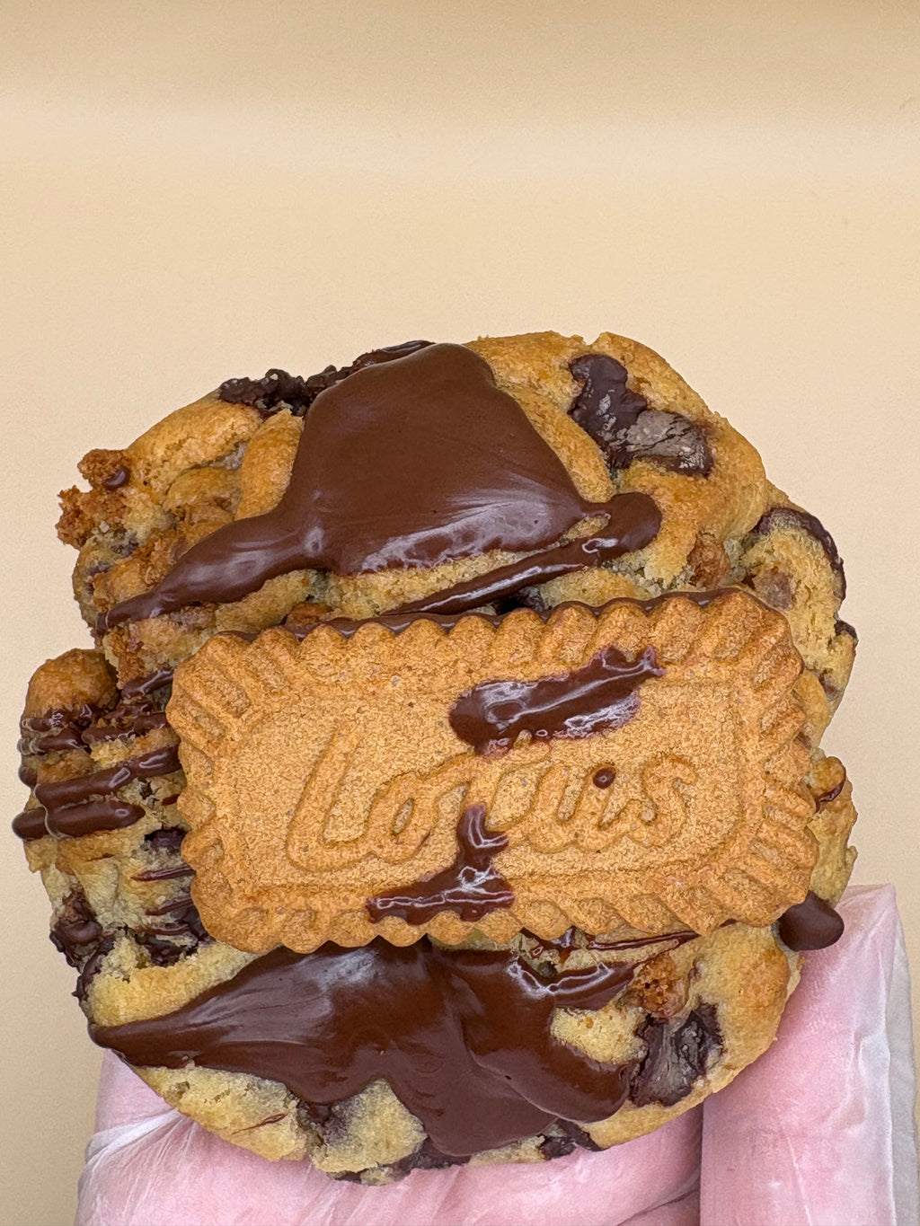 Biscoff x Dark Chocolate