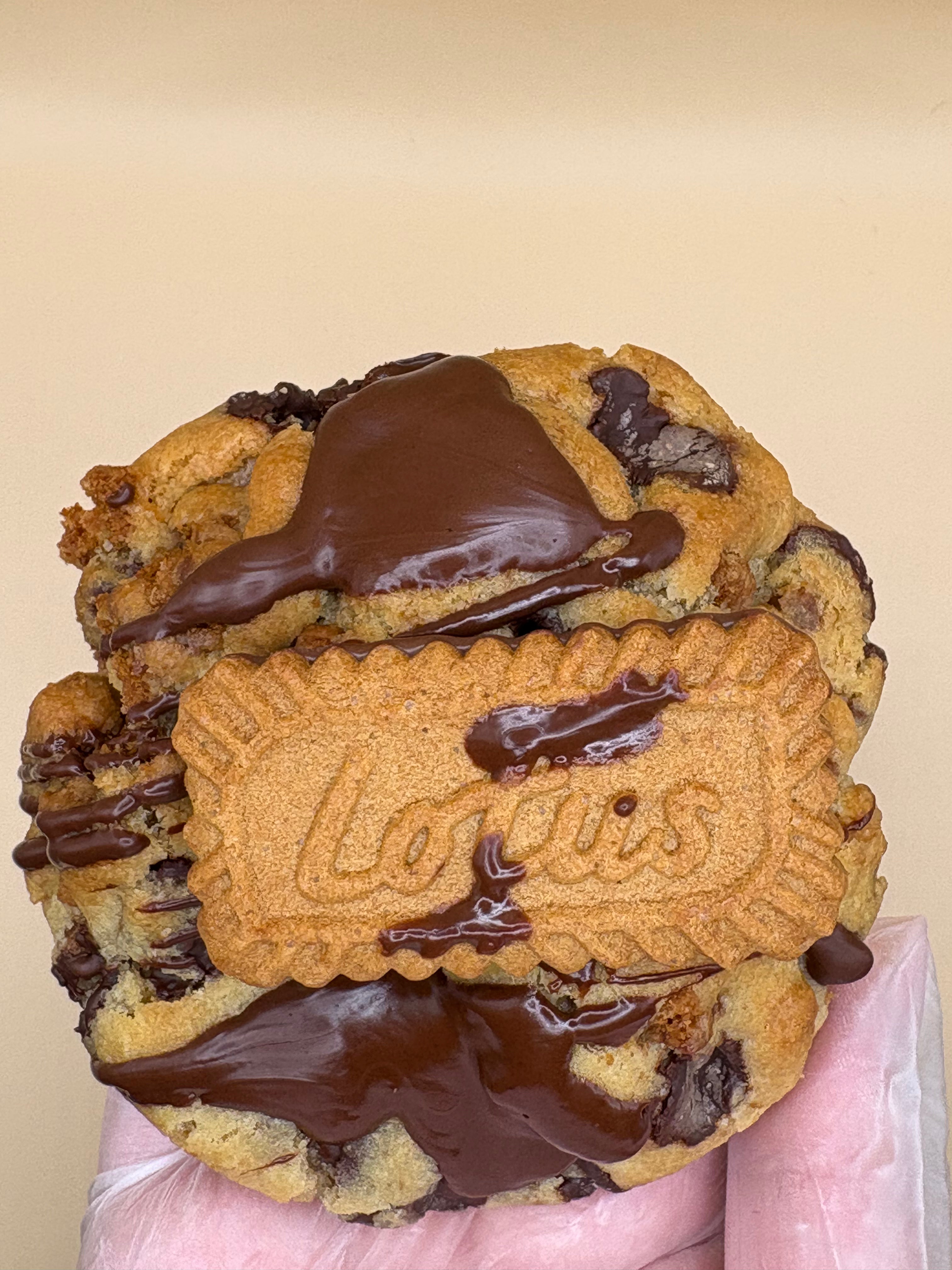 Biscoff x Dark Chocolate